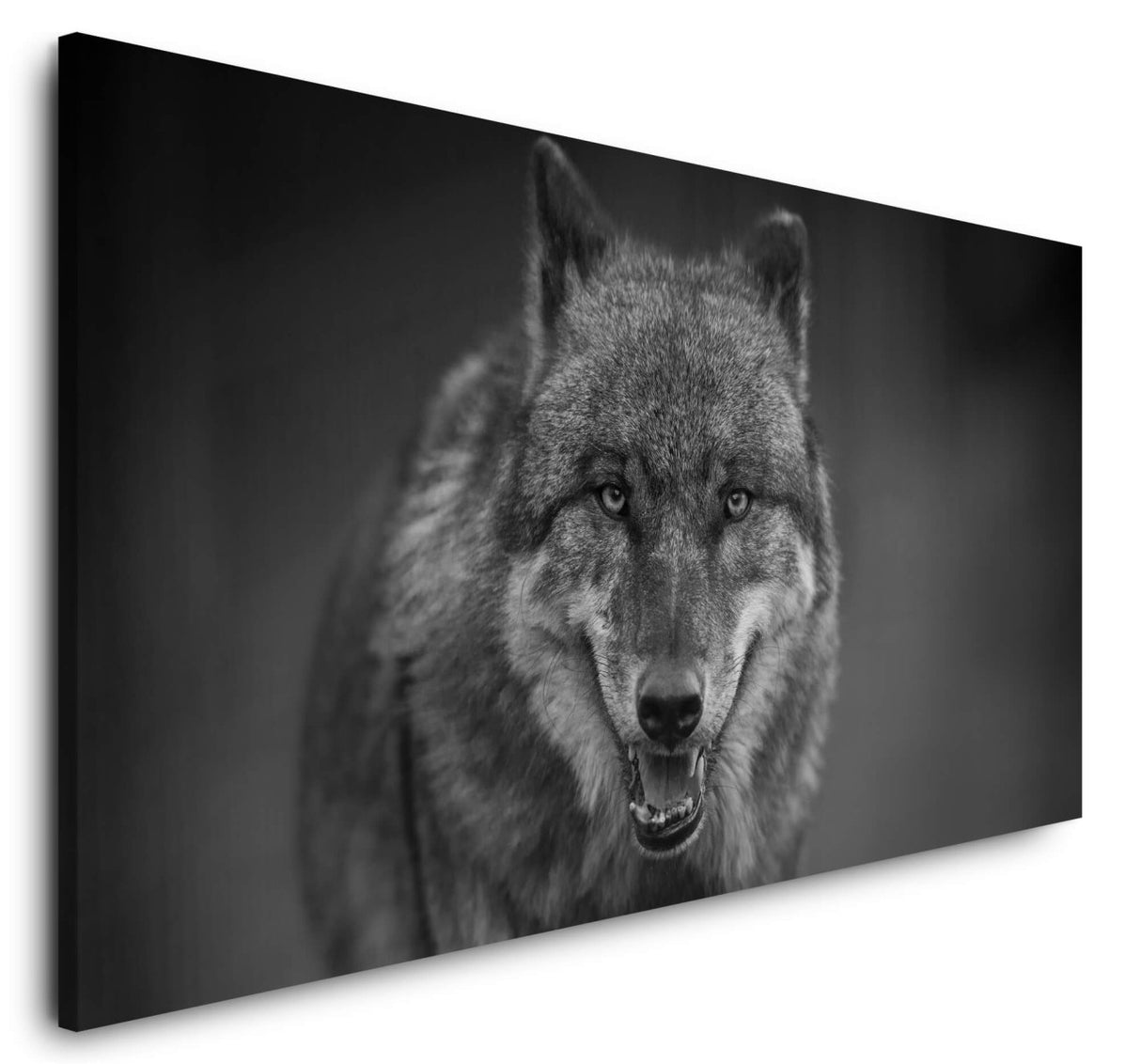 shutterstock_11293789469wpl20NlBxiTY_1280x1280.jpg