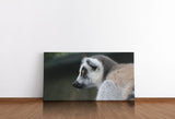 shutterstock_1131610931msLA0PsQuo8Lq_1280x1280.jpg