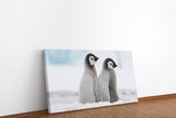 shutterstock_1228000150KIWCI5Vh4JuLi_1280x1280.jpg