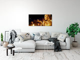 shutterstock_123353470993THQDI4Ohqts_1280x1280.jpg