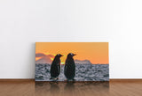 shutterstock_1246202980mdUnPGgvWey0s_1280x1280.jpg