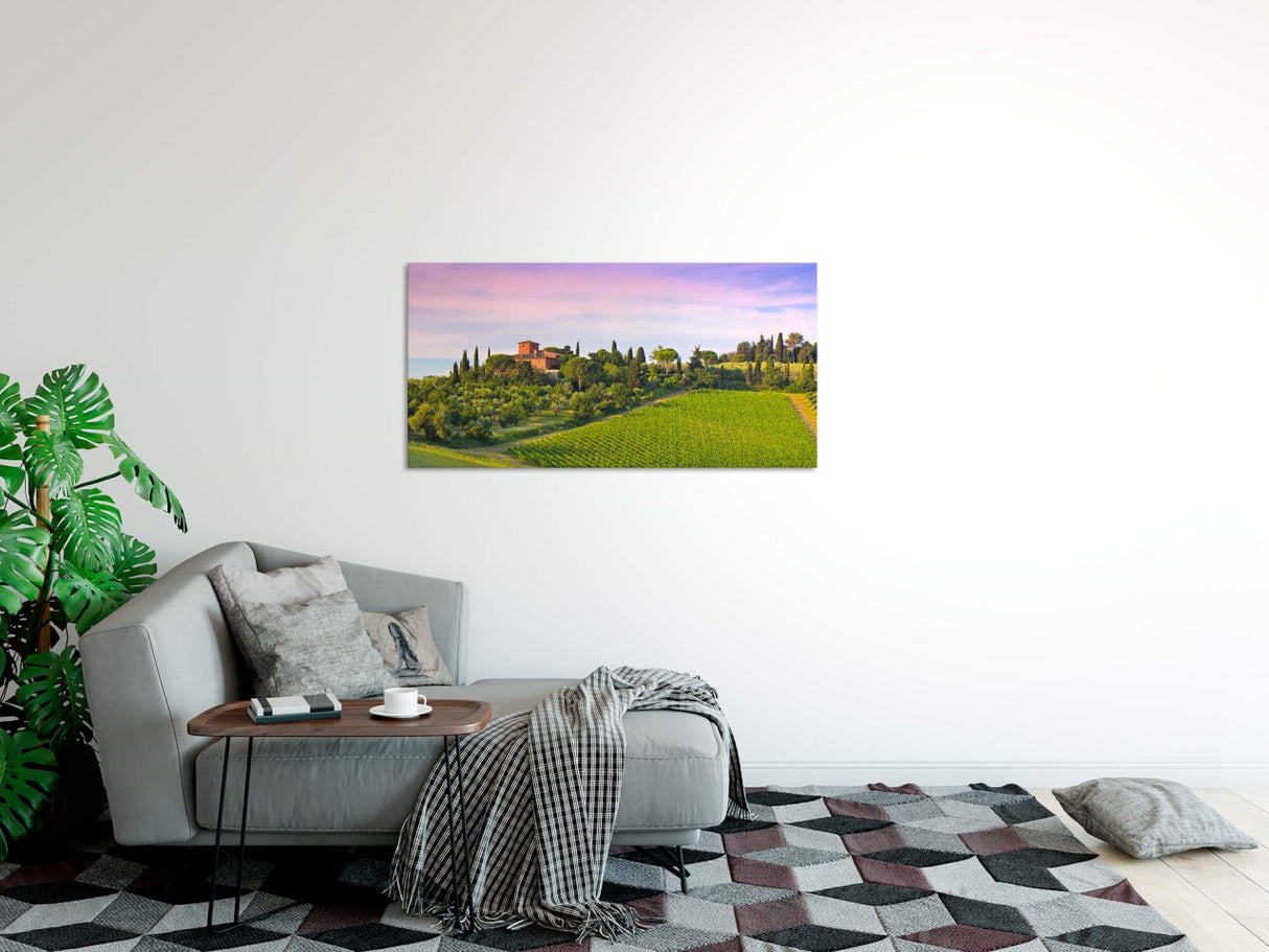 shutterstock_1281055612H6zfU7Am50v7t_1280x1280.jpg