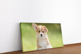shutterstock_1290320698Ezslmb9KQH6H9_1280x1280.jpg