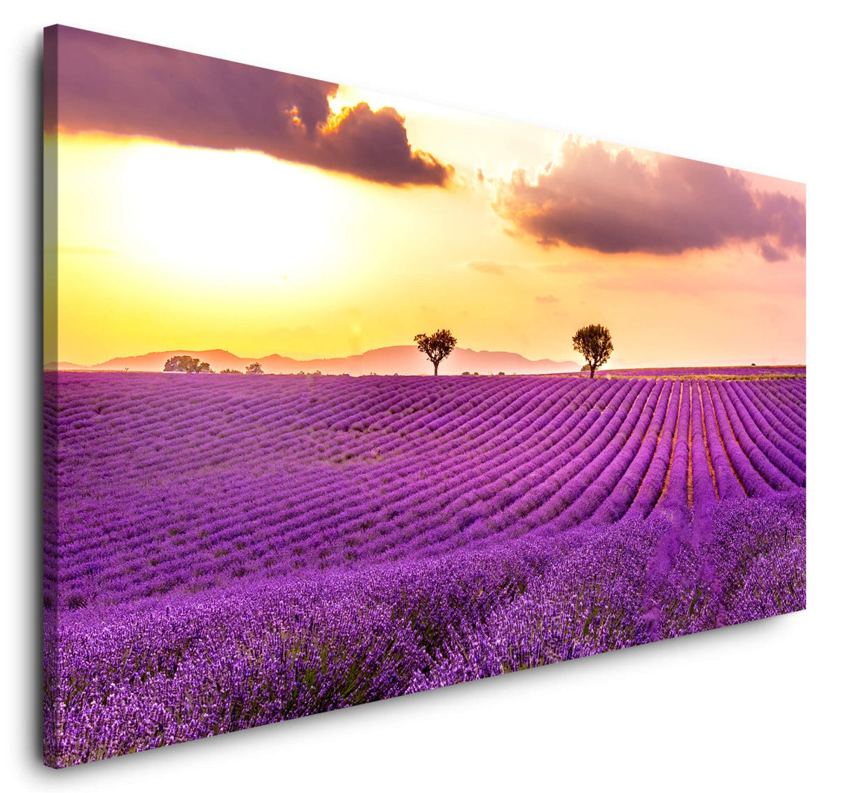 shutterstock_13169977761Ilh8xg1b1B9s_1280x1280.jpg