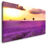 shutterstock_13169977761Ilh8xg1b1B9s_1280x1280.jpg