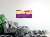 shutterstock_1316997776gspqtsLqoEQeL_1280x1280.jpg
