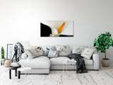shutterstock_1334038167ACltULxS1XNz_1280x1280.jpg