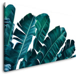 shutterstock_1342081691zNZtfCgKNX8IH_1280x1280.jpg