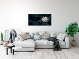 shutterstock_1364445914rCfoTG4HxFgUc_1280x1280.jpg