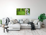 shutterstock_1379134048W8SjzNd6Arrd_1280x1280.jpg