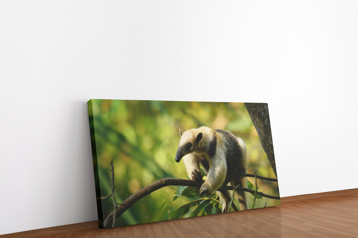 shutterstock_1389332897YfuOceSWoAPde_1280x1280.jpg