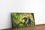 shutterstock_1389332897YfuOceSWoAPde_1280x1280.jpg