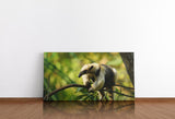 shutterstock_1389332897iM6xULar72lSt_1280x1280.jpg