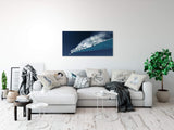shutterstock_1449588014kE2yA0lYIUIAg_1280x1280.jpg