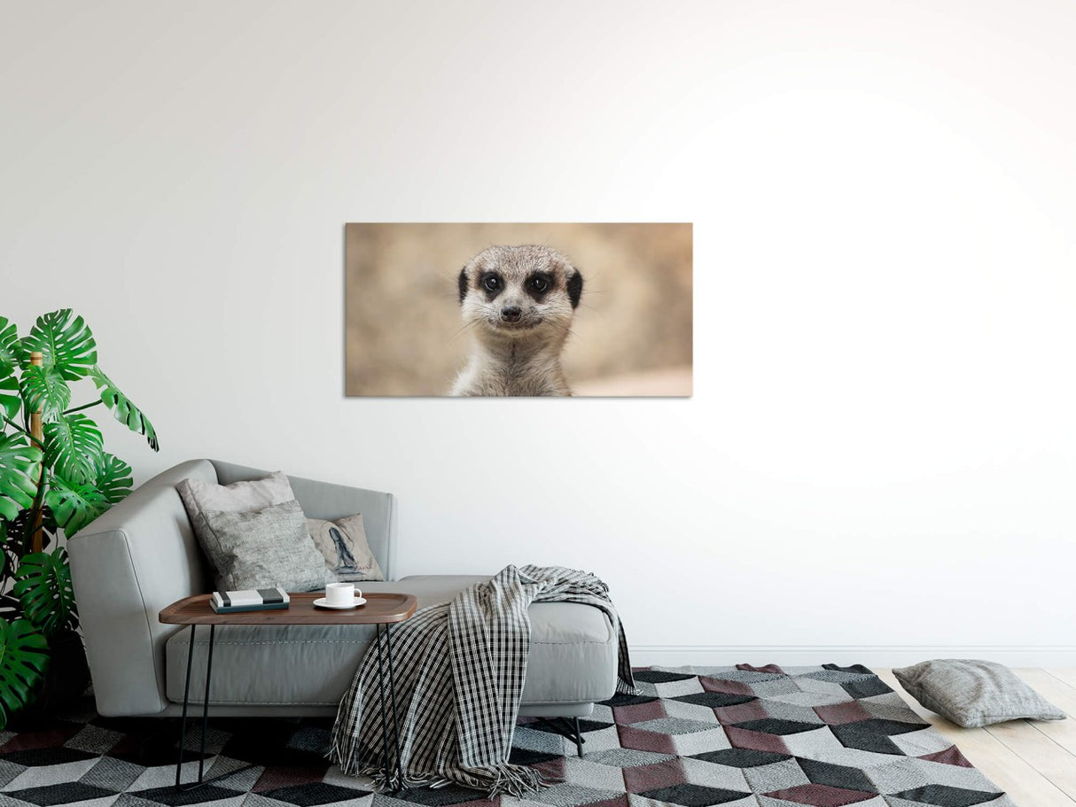 shutterstock_1459992779ho8551tSLHZCi_1280x1280.jpg