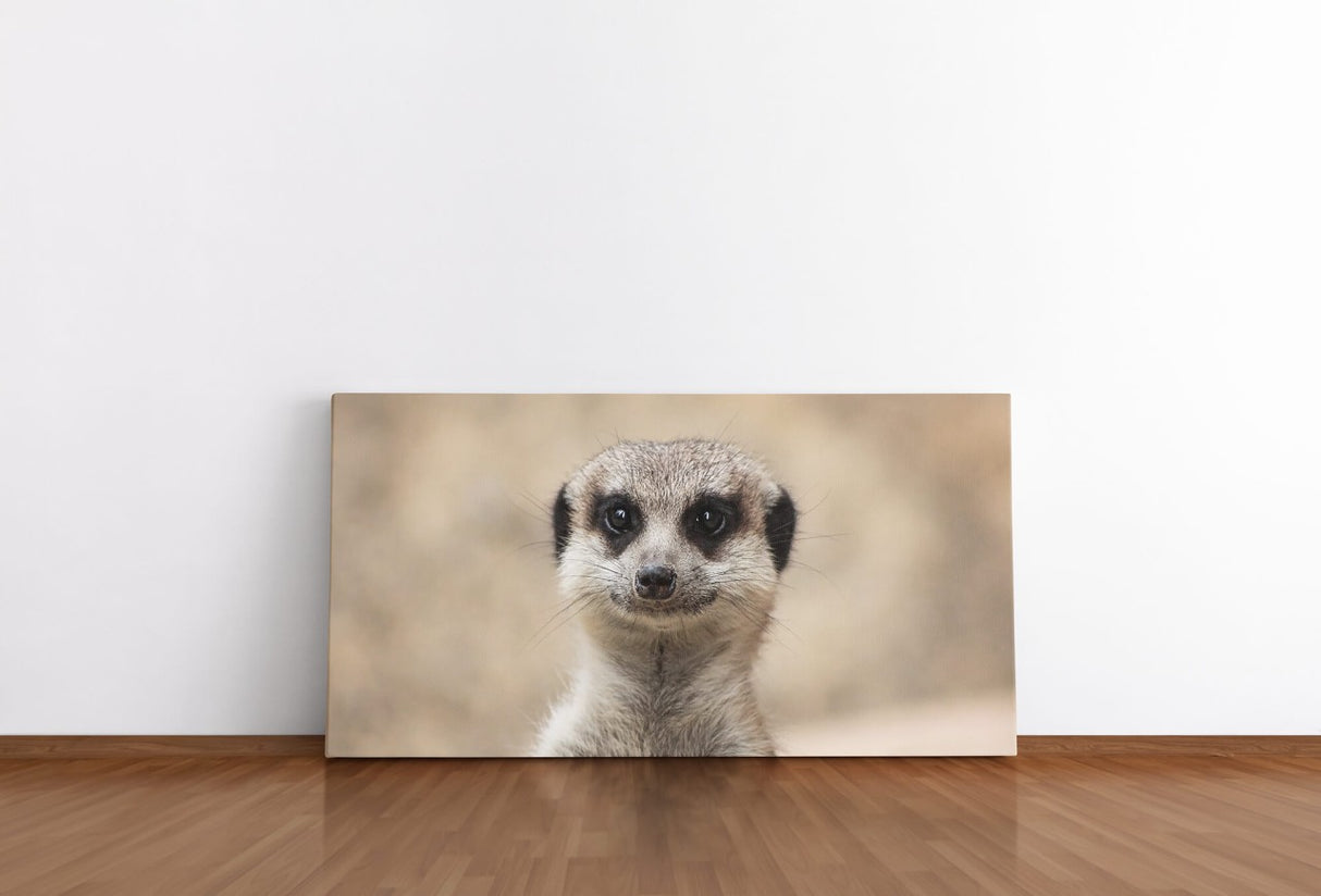 shutterstock_1459992779seqE2eeamKPF1_1280x1280.jpg