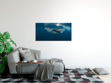shutterstock_1464435725O6lsXQS3orHwy_1280x1280.jpg