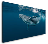 shutterstock_1464435725dCSFFYEDw2Xxs_1280x1280.jpg