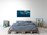shutterstock_1464435725zm58yibmGsO7z_1280x1280.jpg