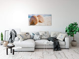 shutterstock_1484491544b9ZFFN4t6w3y0_1280x1280.jpg