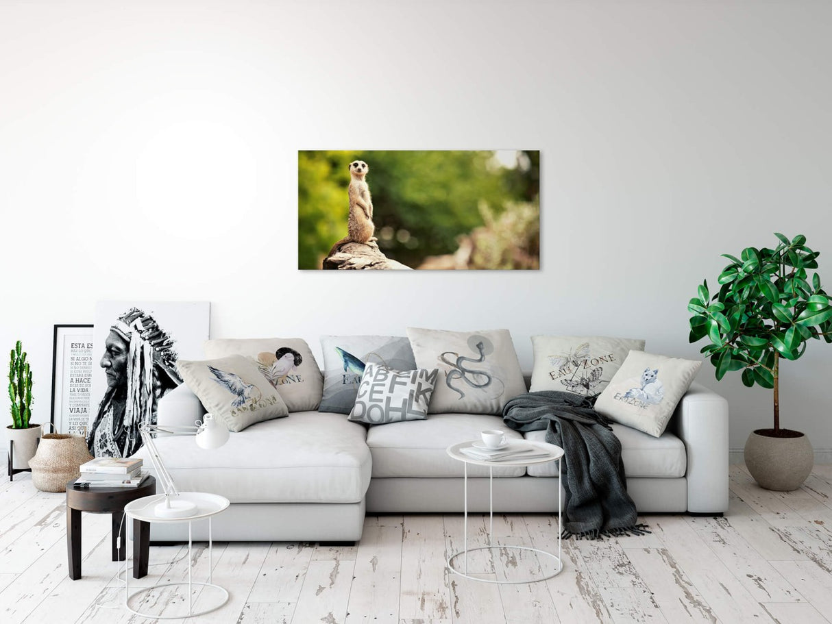 shutterstock_164022368EUohhVPkq5IUP_1280x1280.jpg