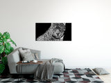 shutterstock_1716805930GkW3qyQA57pkB_1280x1280.jpg