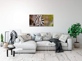 shutterstock_1719584203OJxMhuEezcvId_1280x1280.jpg