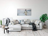 shutterstock_17266153035PtS9fPUwpuYe_1280x1280.jpg