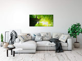 shutterstock_173301305cllorfaj1yIrI_1280x1280.jpg