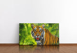 shutterstock_1784390399pu8ywLk3Cc5Fd_1280x1280.jpg