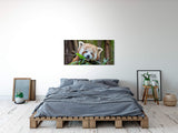 shutterstock_1794743821RC2NaTwCgZtMI_1280x1280.jpg