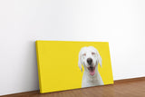 shutterstock_1799966587ebvNvZQgoDIae_1280x1280.jpg