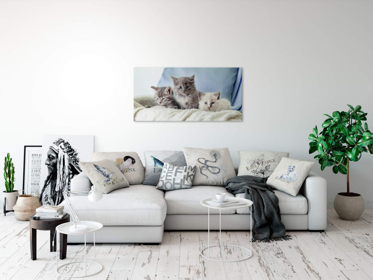 shutterstock_1864665679XcyKouc07pPhN_1280x1280.jpg