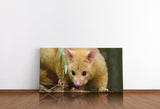 shutterstock_1894111282rflD3otmZDZ9R_1280x1280.jpg