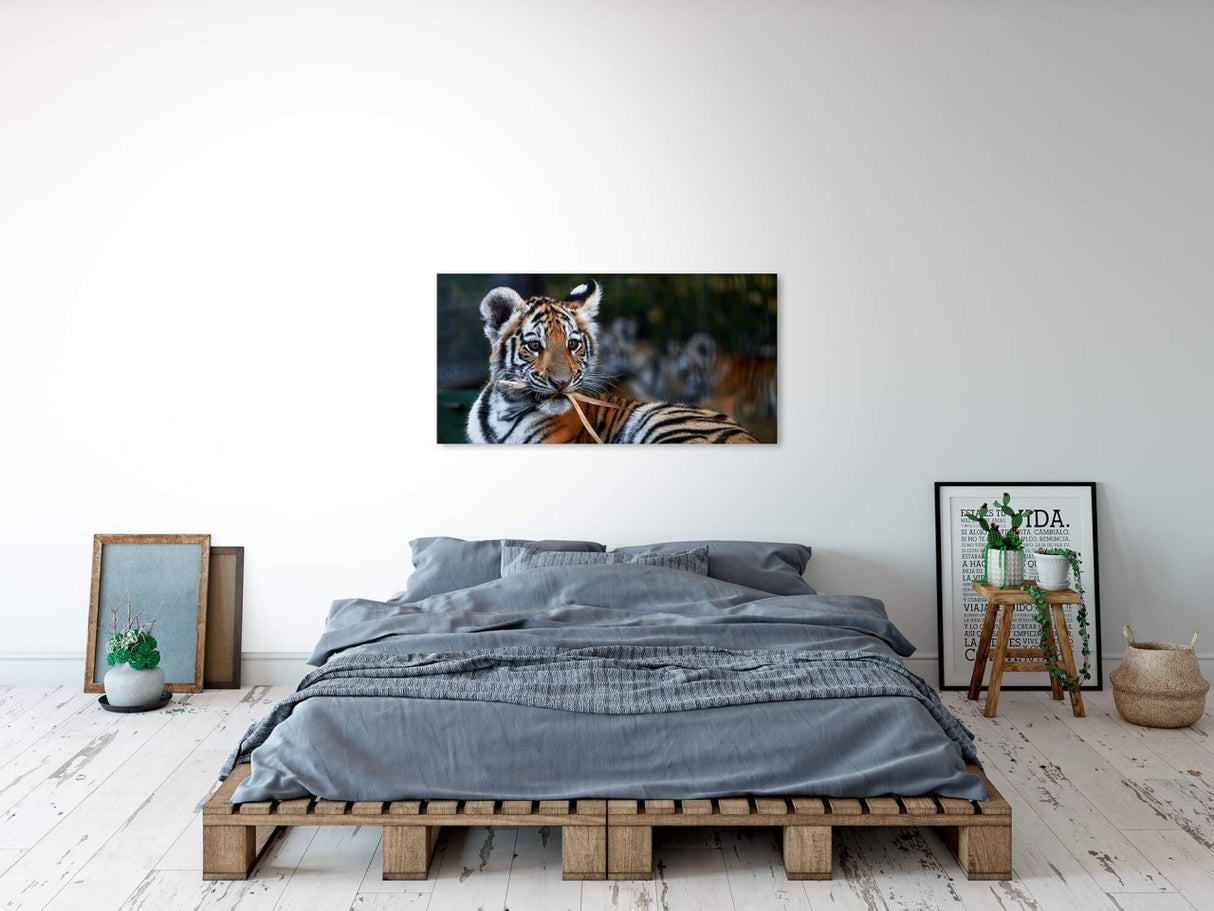 shutterstock_1913361931RJskOODgHUzJF_1280x1280.jpg