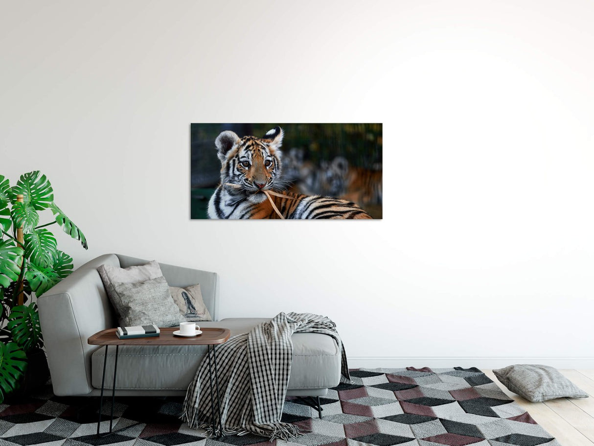 shutterstock_1913361931hWqc7Mk8Ggh4E_1280x1280.jpg