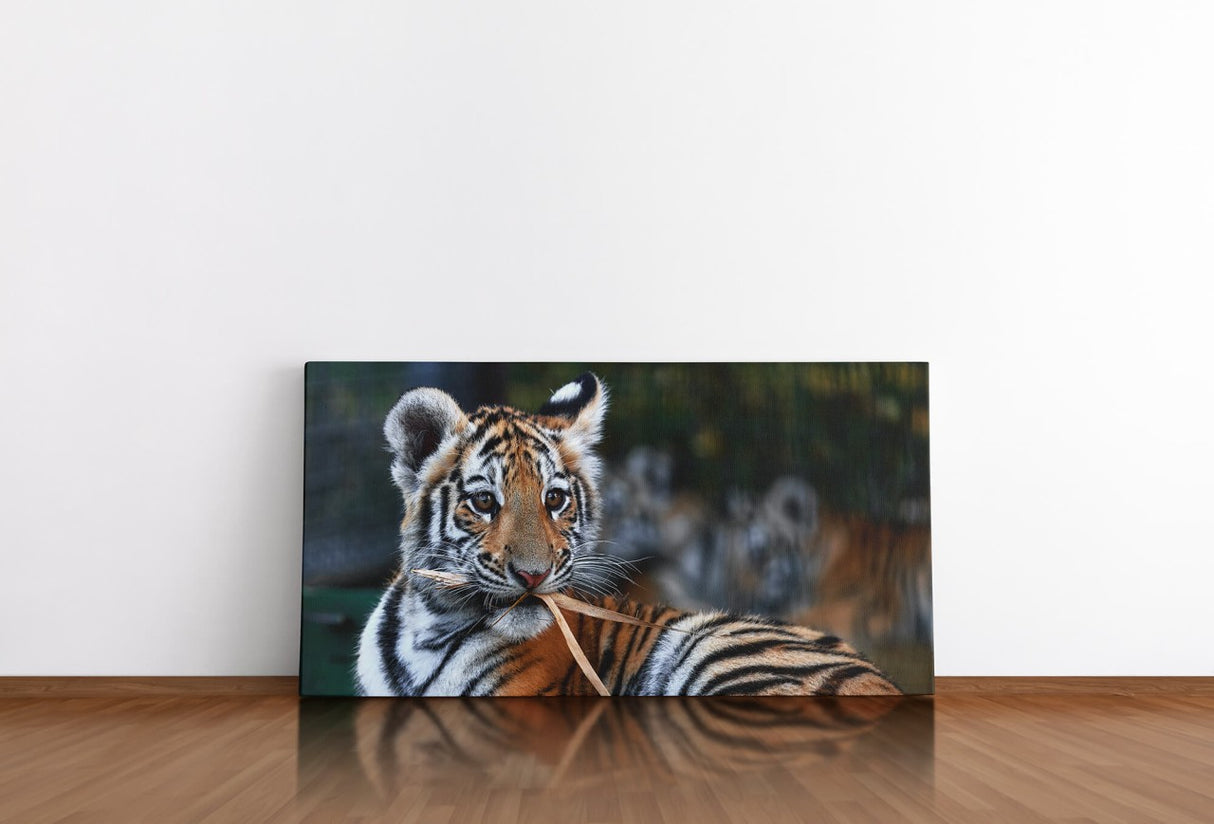 shutterstock_1913361931uElisn6hPT3gV_1280x1280.jpg