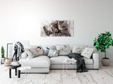 shutterstock_1917356894v2gQlirDYEG53_1280x1280.jpg