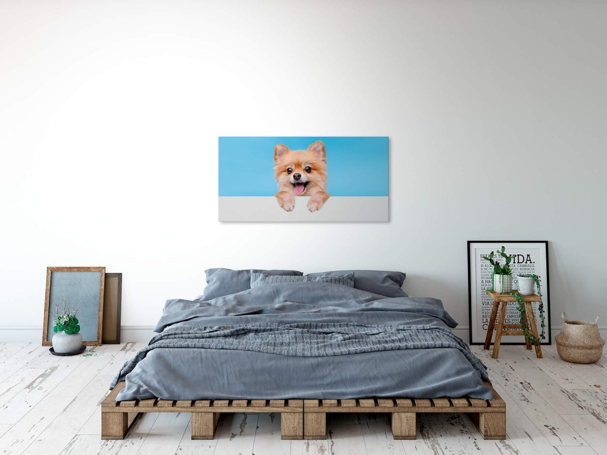 shutterstock_1940822989CJMu7RbvGrrUc_1280x1280.jpg