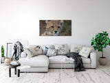 shutterstock_1985092949ocFGS5RMxguLx_1280x1280.jpg