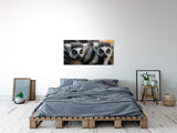shutterstock_1998768074A3H2Qpl6ZxUQv_1280x1280.jpg