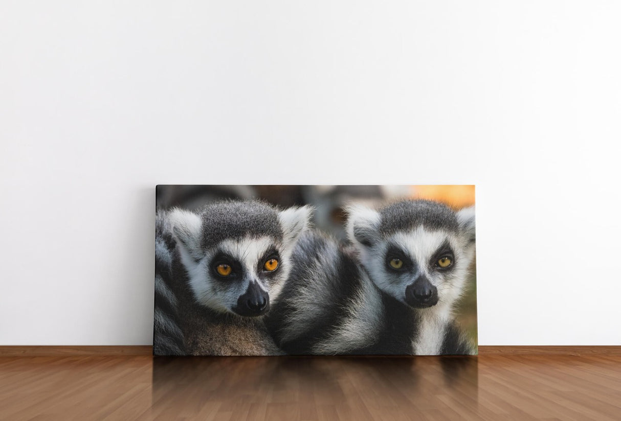 shutterstock_1998768074F64OeNLZ2zNSm_1280x1280.jpg