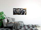 shutterstock_1998768074gCGlGF595mAl3_1280x1280.jpg