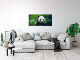 shutterstock_239618668mgBuBAX4KZnlP_1280x1280.jpg