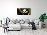 shutterstock_369196991iUgDfiq0X2yFt_1280x1280.jpg