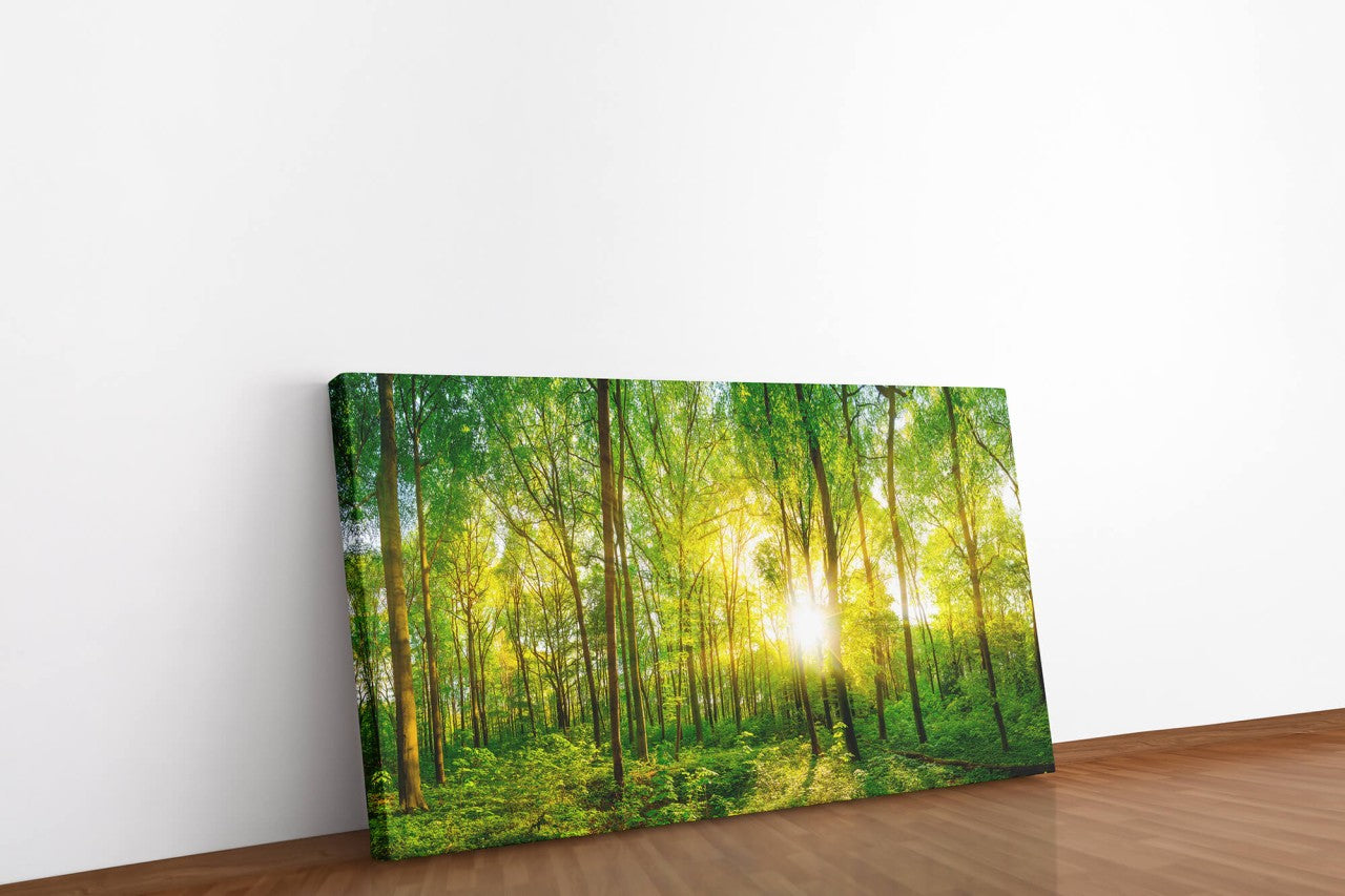 shutterstock_4184291237MZ73Q08AGlIK_1280x1280.jpg
