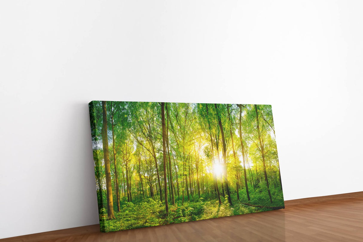 shutterstock_4184291237MZ73Q08AGlIK_1280x1280.jpg