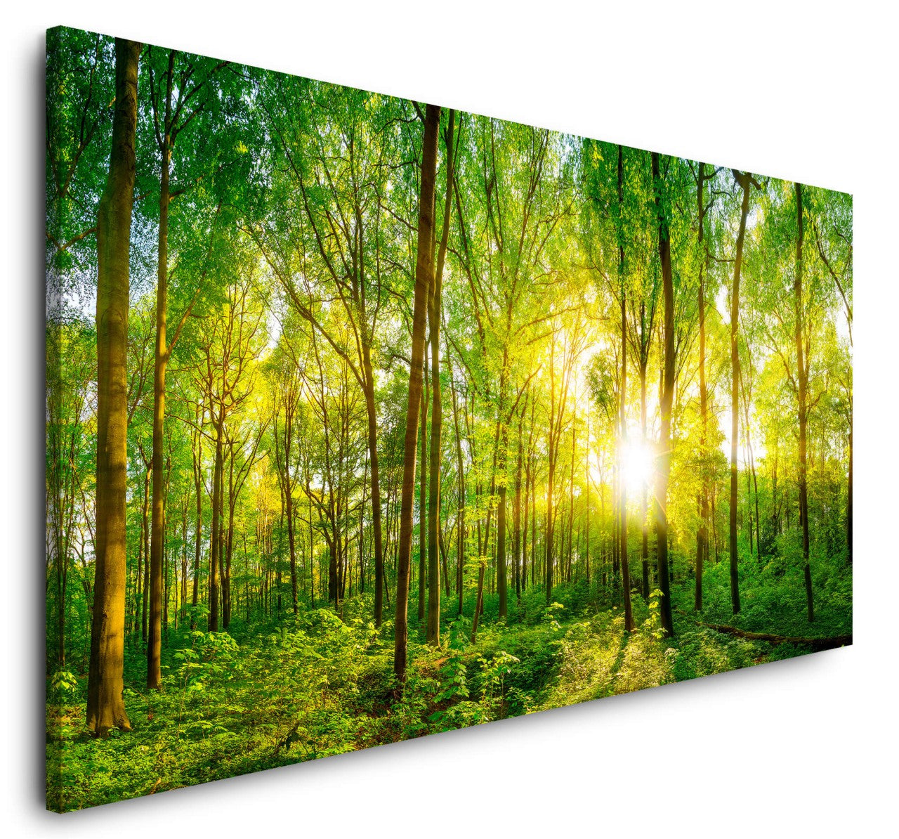 shutterstock_418429123K2XDH831hXcLj_1280x1280.jpg