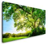 shutterstock_474495670kgow3YtO6d8WY_1280x1280.jpg