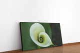 shutterstock_48025231OGZyQlR0CeP32_1280x1280.jpg